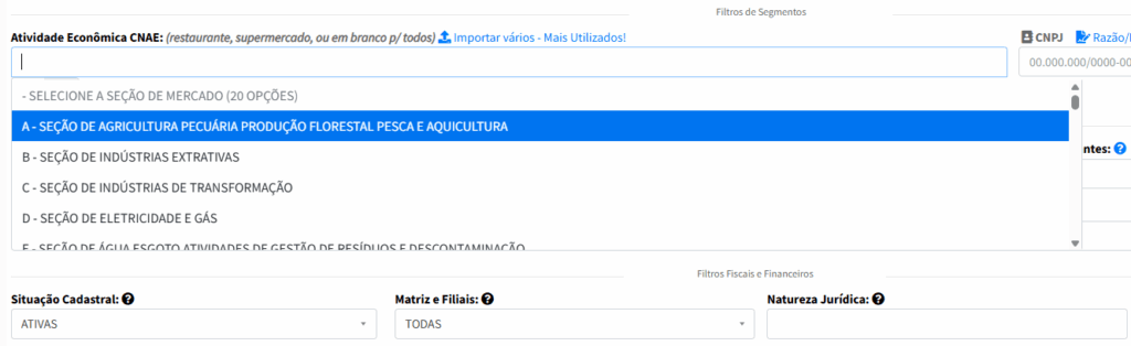 Pesquisa por filtros do CNAE, Plataforma do EmpresAqui Tela de pesquisa do EmpresAqui com filtro de atividade econômica CNAE para segmentação empresarial